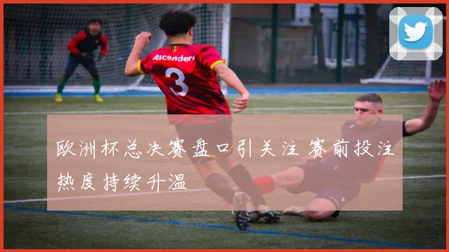 欧洲杯总决赛盘口引关注 赛前投注热度持续升温