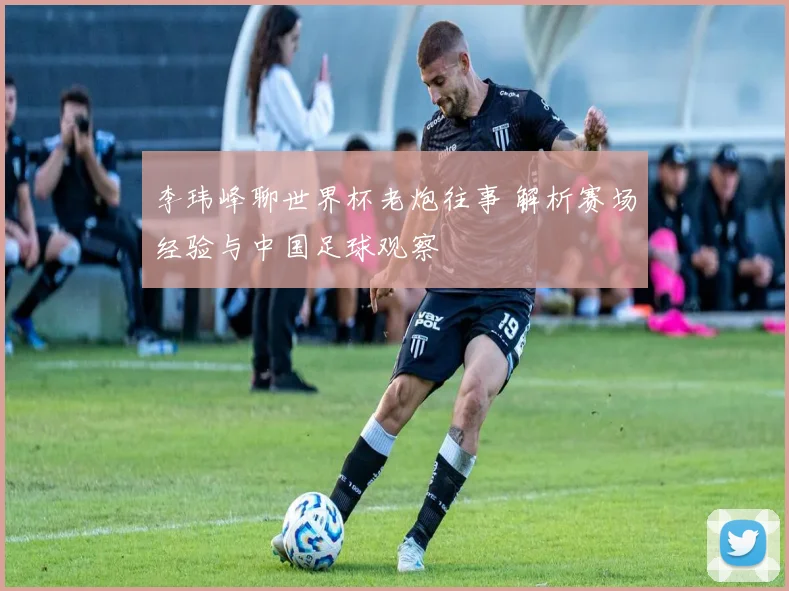 李玮峰聊世界杯老炮往事 解析赛场经验与中国足球观察