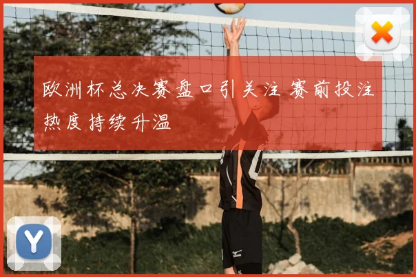 欧洲杯总决赛盘口引关注 赛前投注热度持续升温