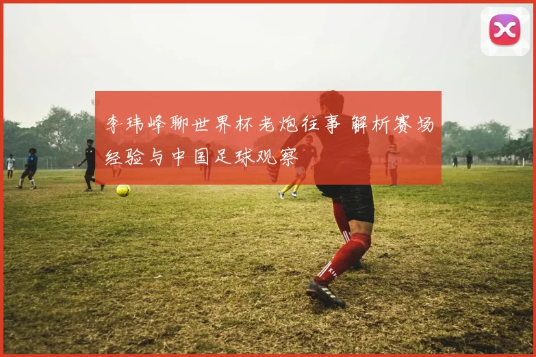 李玮峰聊世界杯老炮往事 解析赛场经验与中国足球观察