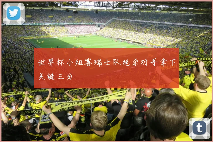 世界杯小组赛瑞士队绝杀对手拿下关键三分