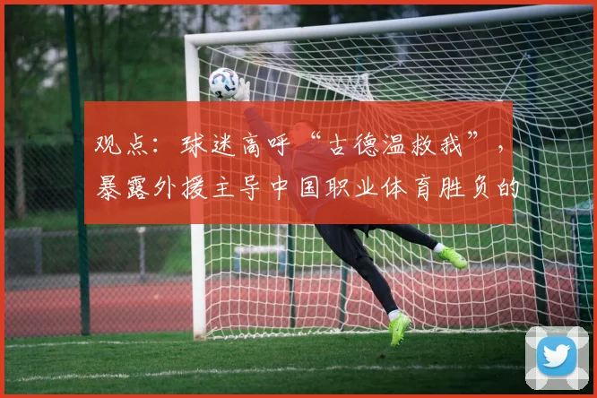 观点:球迷高呼“古德温救我”,暴露外援主导中国职业体育胜负的残酷现实!