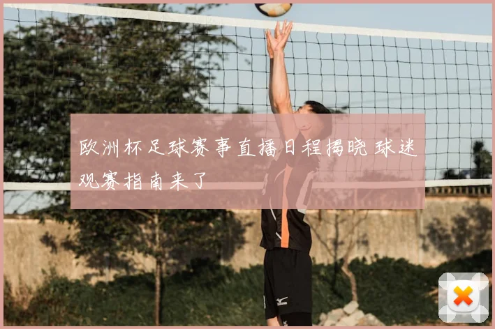 欧洲杯足球赛事直播日程揭晓 球迷观赛指南来了