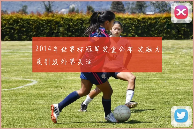 2014年世界杯冠军奖金公布 奖励力度引发外界关注