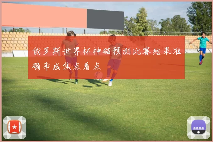 俄罗斯世界杯神猫预测比赛结果准确率成焦点看点